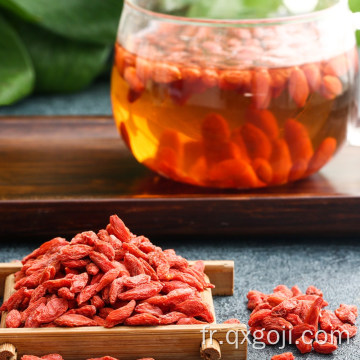 Baies de goji biologiques fraîches séchées wolfberries à vendre